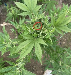 25.06.22.jpeg 25.06.22.jpeg