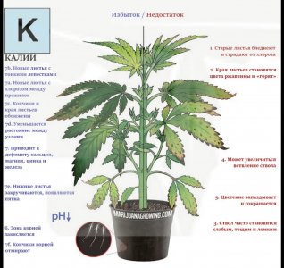 9876B06A-371E-4589-8257-86D0C166A3C3.jpeg 9876B06A-371E-4589-8257-86D0C166A3C3.jpeg