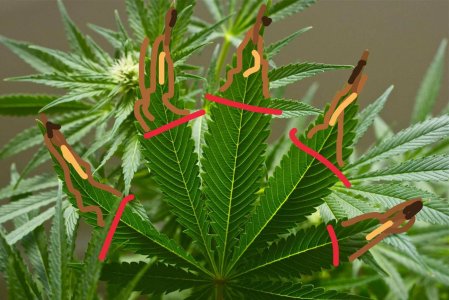 B7320478-EEED-458E-ABA3-25EEB590E185.jpeg B7320478-EEED-458E-ABA3-25EEB590E185.jpeg