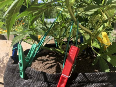 03265424-DD49-4BE3-93D7-4951E884D784.jpeg 03265424-DD49-4BE3-93D7-4951E884D784.jpeg