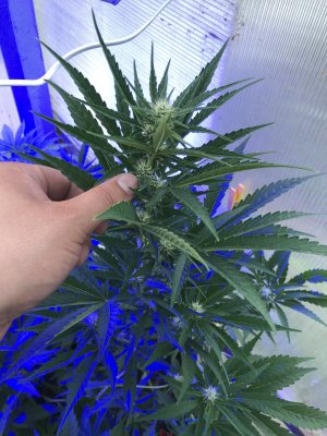 D79C5282-1E56-4C5F-BAB8-59B6D0FEEAA0.jpeg D79C5282-1E56-4C5F-BAB8-59B6D0FEEAA0.jpeg