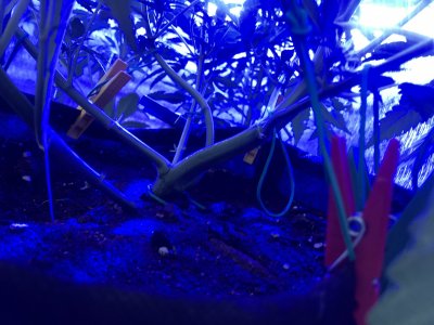 7E345DE7-C8F8-4C40-A874-0595A5BCFBD1.jpeg 7E345DE7-C8F8-4C40-A874-0595A5BCFBD1.jpeg