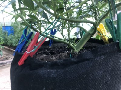 C228C56B-F0DB-424F-AC9C-691A793C401B.jpeg C228C56B-F0DB-424F-AC9C-691A793C401B.jpeg