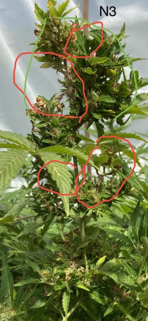 03.07.22N3.jpeg 03.07.22N3.jpeg