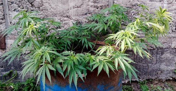 БПО2.jpg БПО2.jpg