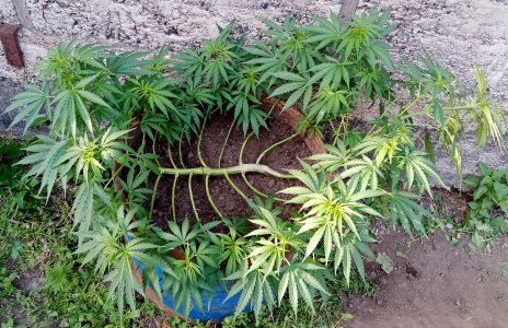 БПО3.jpg БПО3.jpg