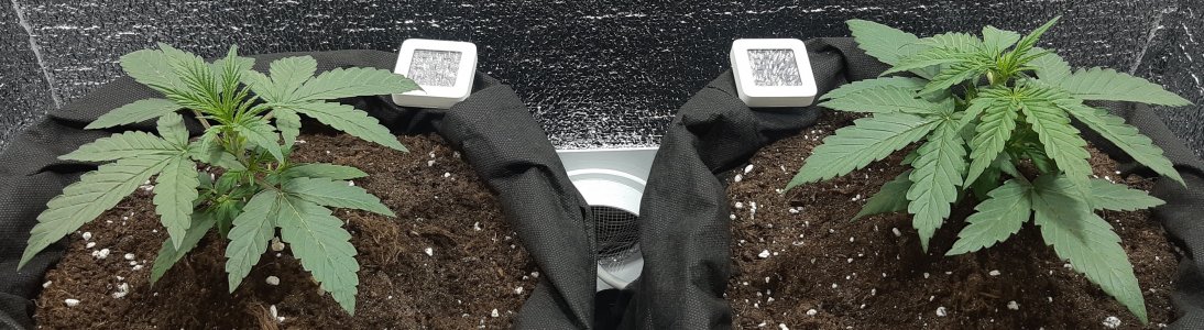 307_детишки вместе1 (2).jpg