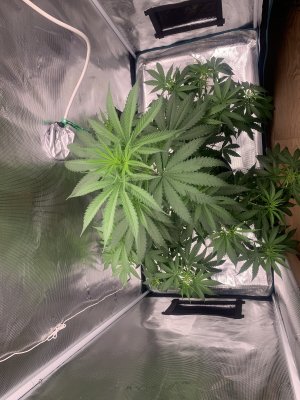 5.07.2.jpg 5.07.2.jpg