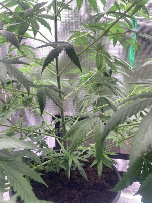 5.07.3.jpg 5.07.3.jpg