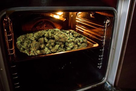 сушка и пролечка конопли сушка и пролечка конопли