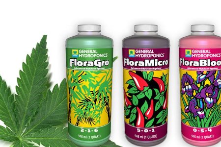 Минеральные удобрения для конопли Минеральные удобрения для конопли