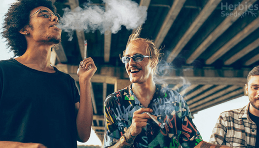 1611590023066.png 1611590023066.png