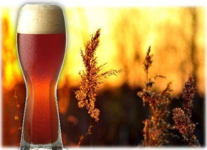 фото5.jpg фото5.jpg