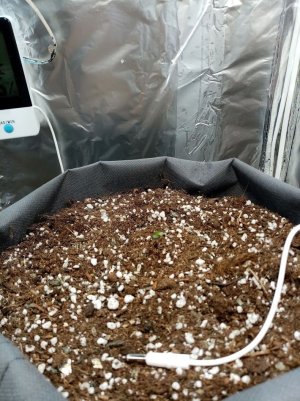 IMG_20210228_112845.jpg IMG_20210228_112845.jpg