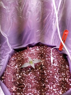 imgonline-com-ua-Resize-tM5woductbX.jpg imgonline-com-ua-Resize-tM5woductbX.jpg