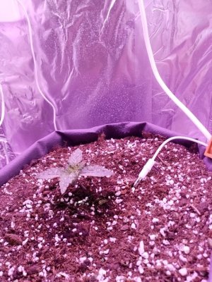 imgonline-com-ua-Resize-jZX5LuXZzA0P.jpg imgonline-com-ua-Resize-jZX5LuXZzA0P.jpg