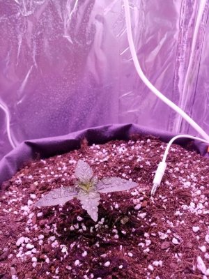 imgonline-com-ua-Resize-Zk5MhMVZlPy1rYU.jpg imgonline-com-ua-Resize-Zk5MhMVZlPy1rYU.jpg