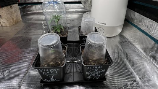 3B777B10-D1C2-4842-B6FA-09E1B282F1A6.jpeg 3B777B10-D1C2-4842-B6FA-09E1B282F1A6.jpeg