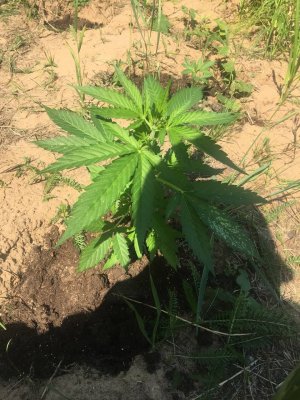 photo_2022-07-12_14-16-50.jpg photo_2022-07-12_14-16-50.jpg