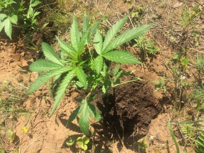 photo_2022-07-12_14-16-53.jpg photo_2022-07-12_14-16-53.jpg