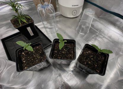 65F0FAA5-8A7A-4C24-9215-8326218ECE50.jpeg 65F0FAA5-8A7A-4C24-9215-8326218ECE50.jpeg