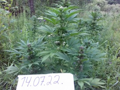 20160522_074025.jpg 20160522_074025.jpg