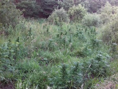 20160522_074607.jpg 20160522_074607.jpg