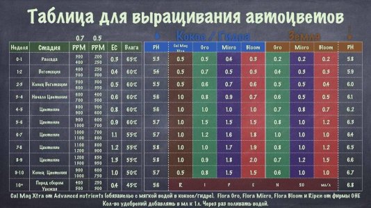 A54E3F96-3092-4CEE-BE69-0C06546E6084.jpeg A54E3F96-3092-4CEE-BE69-0C06546E6084.jpeg