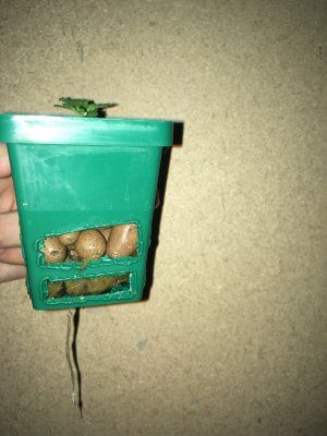 IMG_6864.JPG IMG_6864.JPG