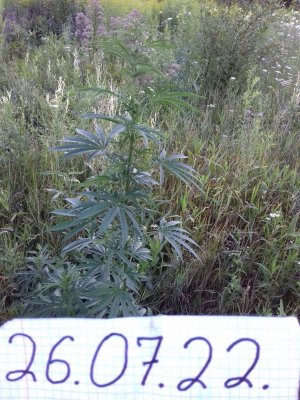 20160605_065133.jpg 20160605_065133.jpg