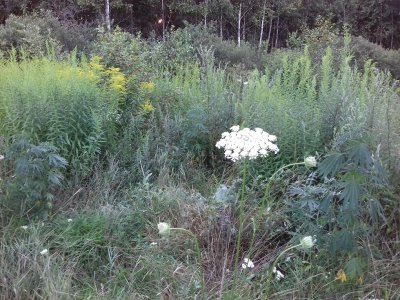 20160605_065846.jpg 20160605_065846.jpg