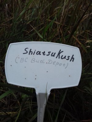 20160609_055847.jpg 20160609_055847.jpg