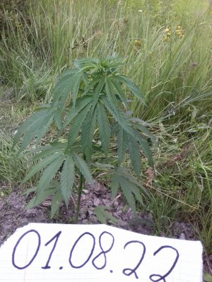 20160609_055941.jpg 20160609_055941.jpg