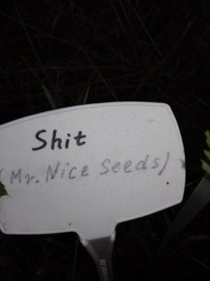 20160609_061212.jpg 20160609_061212.jpg