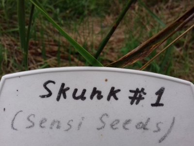 20160609_062736.jpg 20160609_062736.jpg