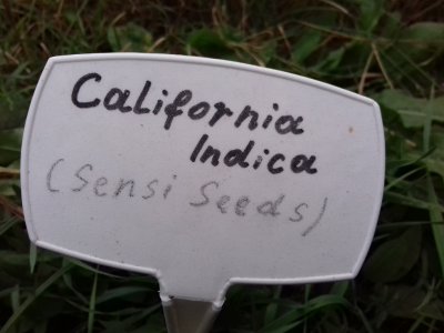 20160609_071548.jpg 20160609_071548.jpg