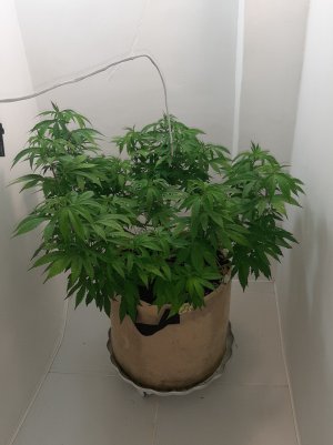 20220804_195706.jpg 20220804_195706.jpg