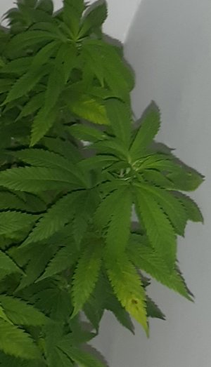 20220804_200023.jpg 20220804_200023.jpg