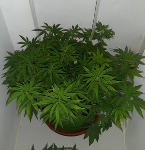 20220804_211120.jpg 20220804_211120.jpg