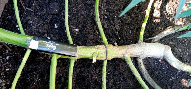 ствол.jpg ствол.jpg