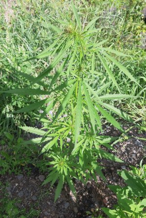 20220810_062440.jpg 20220810_062440.jpg