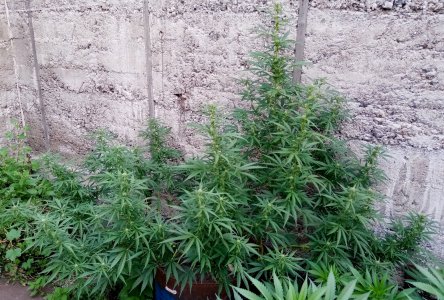 бочка3.jpg бочка3.jpg