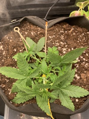 F2A9547B-C9CB-4E02-A74C-C8F396356C52.jpeg F2A9547B-C9CB-4E02-A74C-C8F396356C52.jpeg