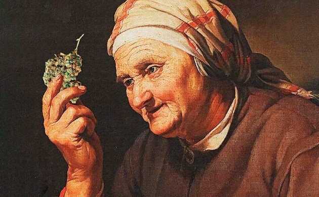 Как определить хорошую коноплю Как определить хорошую коноплю