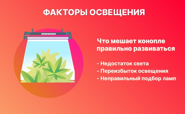 Неправильное освещение Неправильное освещение
