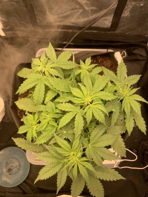 EEE4FE38-6E45-4E72-8D5C-449C5B6522A8.jpeg EEE4FE38-6E45-4E72-8D5C-449C5B6522A8.jpeg