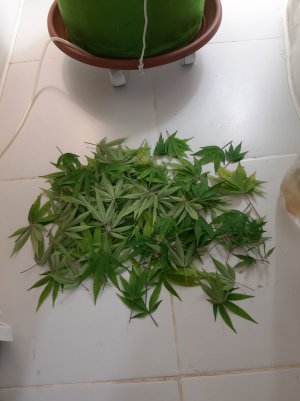 20220825_183128.jpg 20220825_183128.jpg