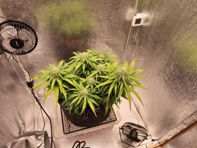 IMG20220827132832.jpg IMG20220827132832.jpg