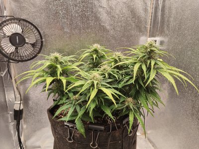 IMG20220827132838.jpg IMG20220827132838.jpg