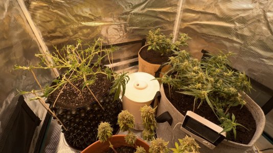 93F52574-5DA0-4D03-B40D-9D51A369ADA7.jpeg 93F52574-5DA0-4D03-B40D-9D51A369ADA7.jpeg